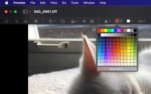 online paint editor for mac